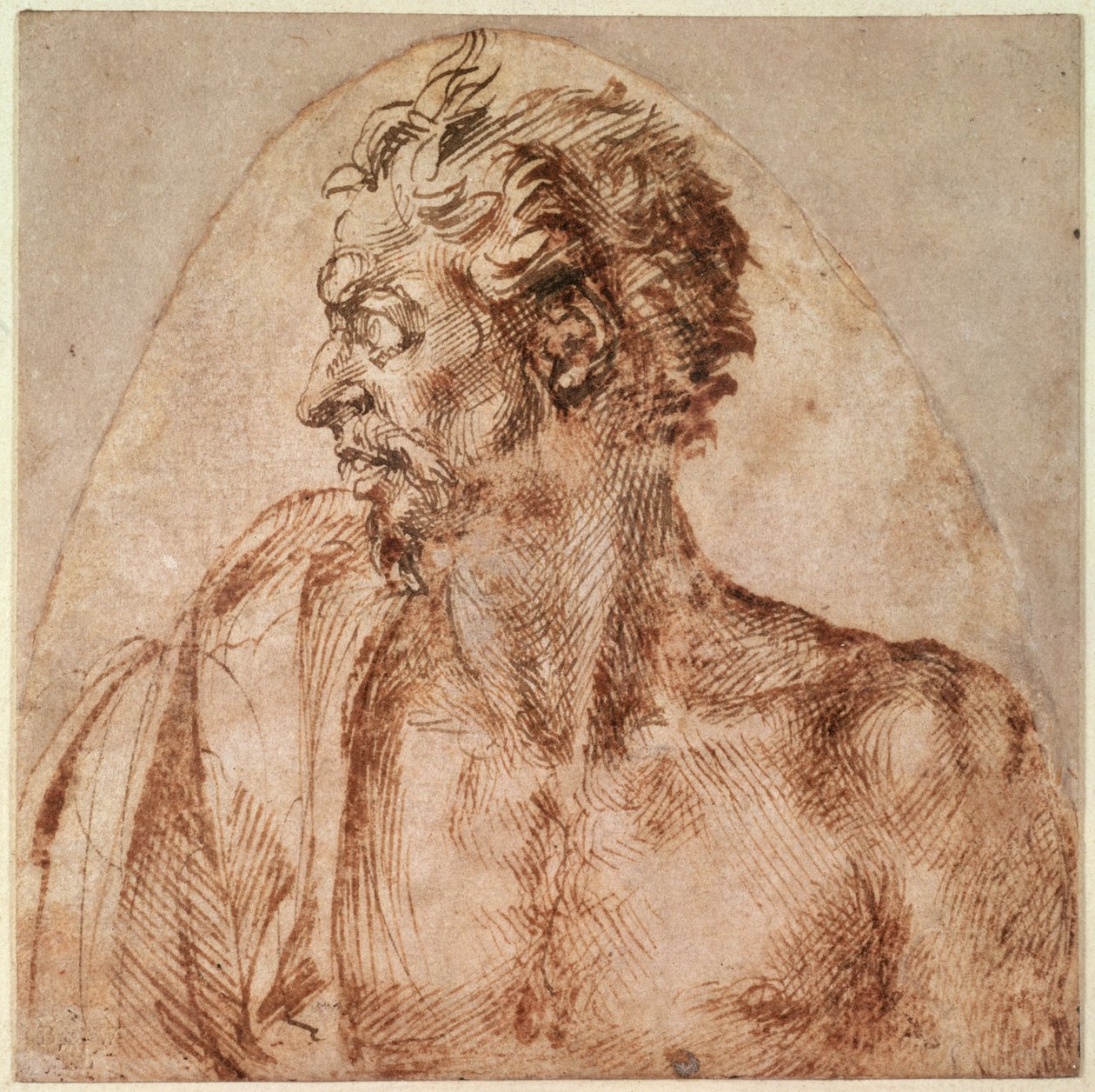 Studie von Kopf und Schultern von Michelangelo Buonarroti