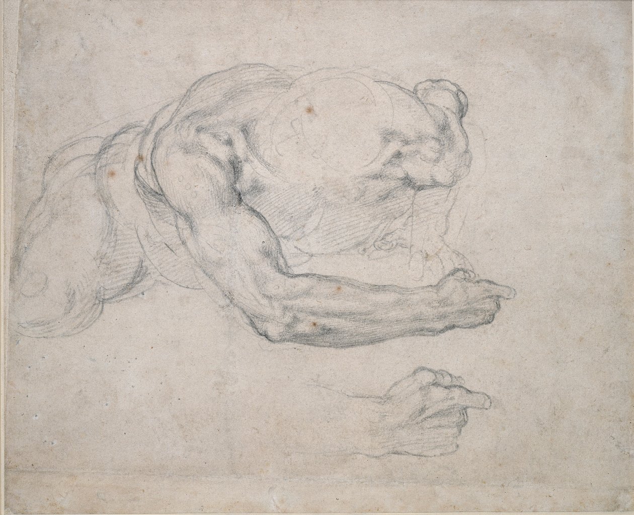 Studie eines Mannes, der vom Boden aufsteht von Michelangelo Buonarroti