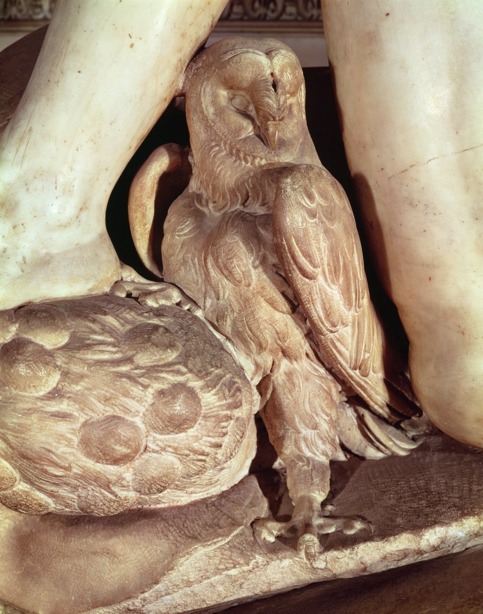 Das Grab von Giuliano de Medici, Detail der Eule unter dem Bein der Nacht, 1520 von Michelangelo Buonarroti
