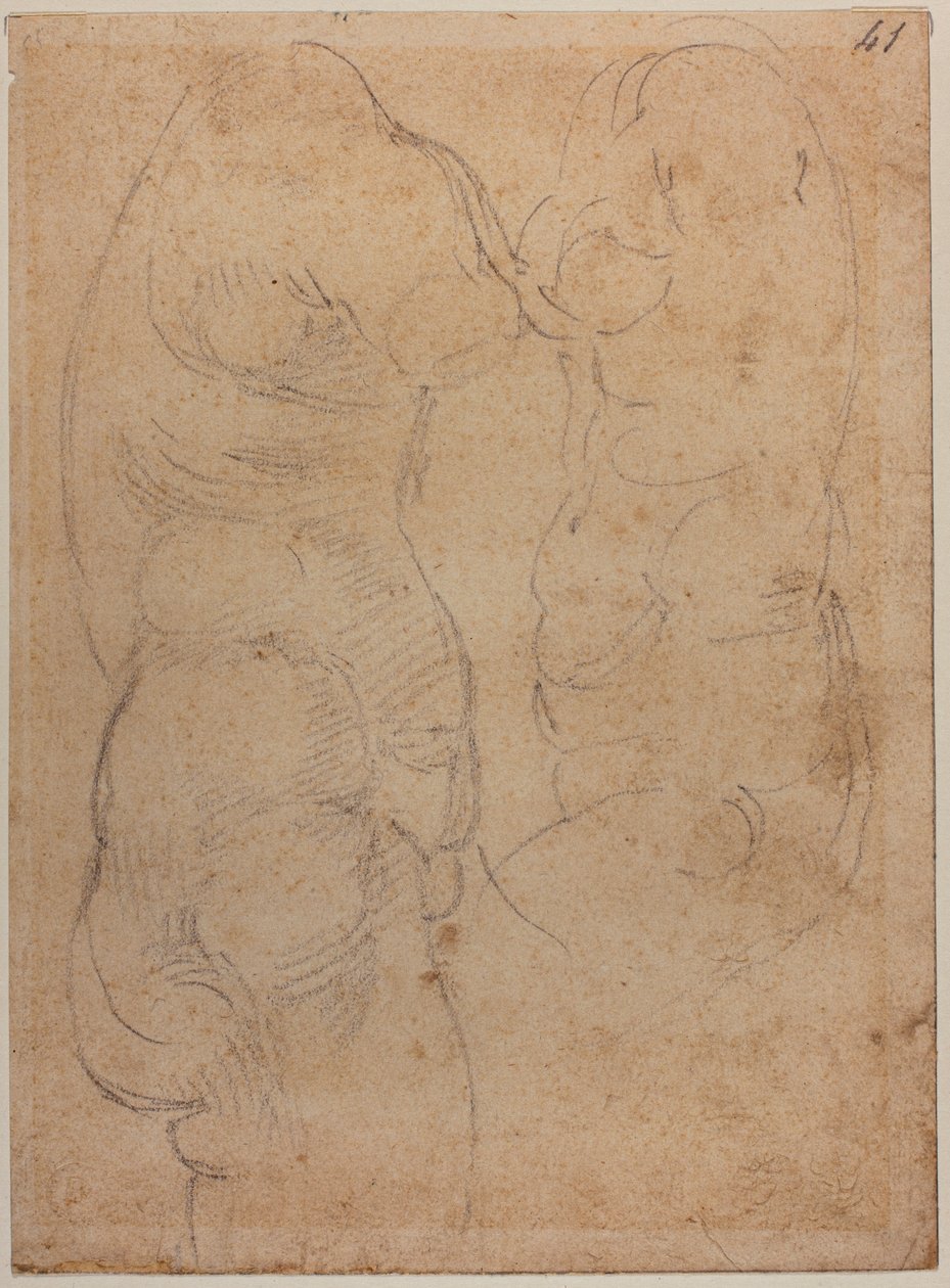 Zwei Studien einer antiken Venus von Michelangelo Buonarroti