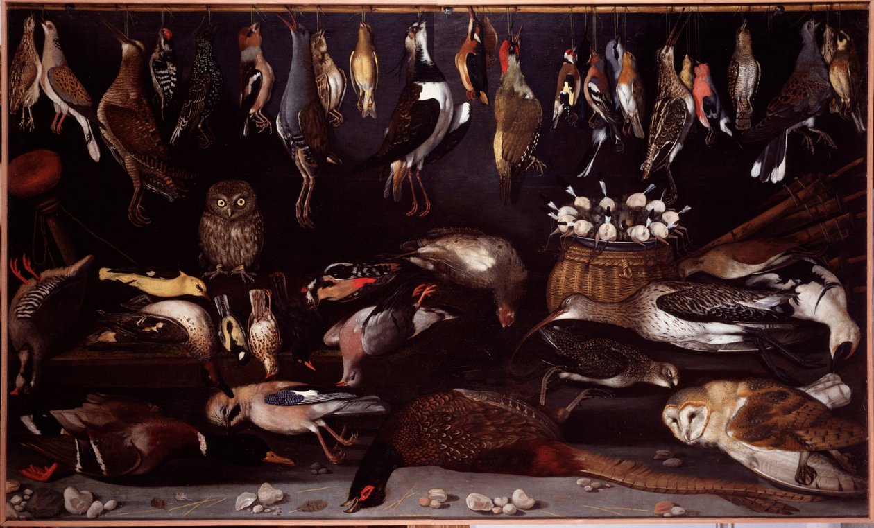 Stillleben mit Vögeln von Michelangelo Merisi da (attr. to) Caravaggio