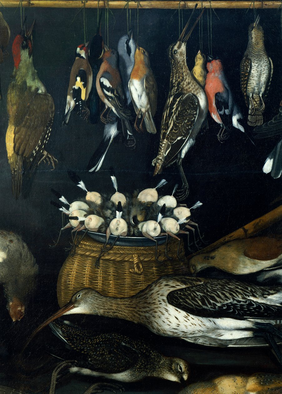 Stillleben mit Vögeln (Detail) von Michelangelo Merisi da Caravaggio