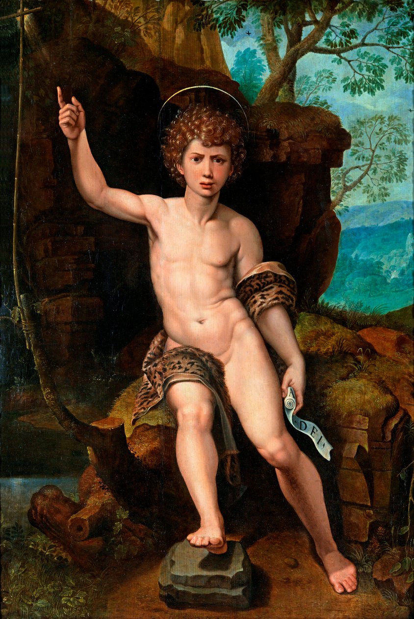 Darstellung des heiligen Johannes des Täufers von Michiel I Coxie or Coxcie