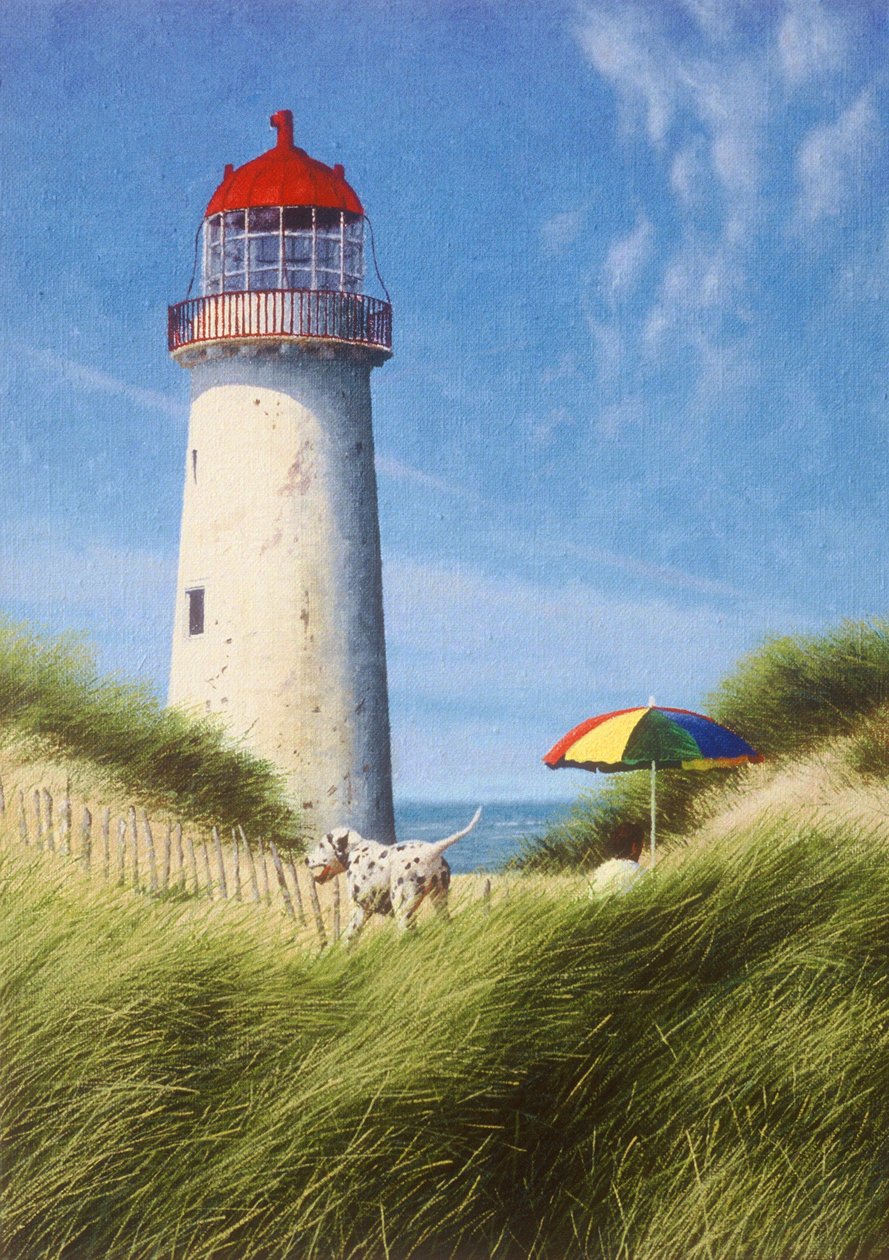 Tag in den Dünen von Mike Briscoe