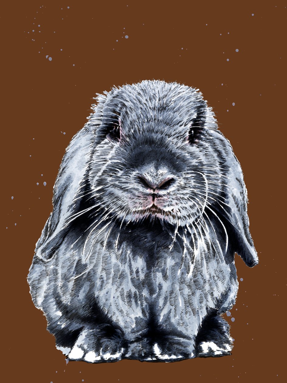 Der Graue Hase auf Verbranntem Orange von Mike Davis
