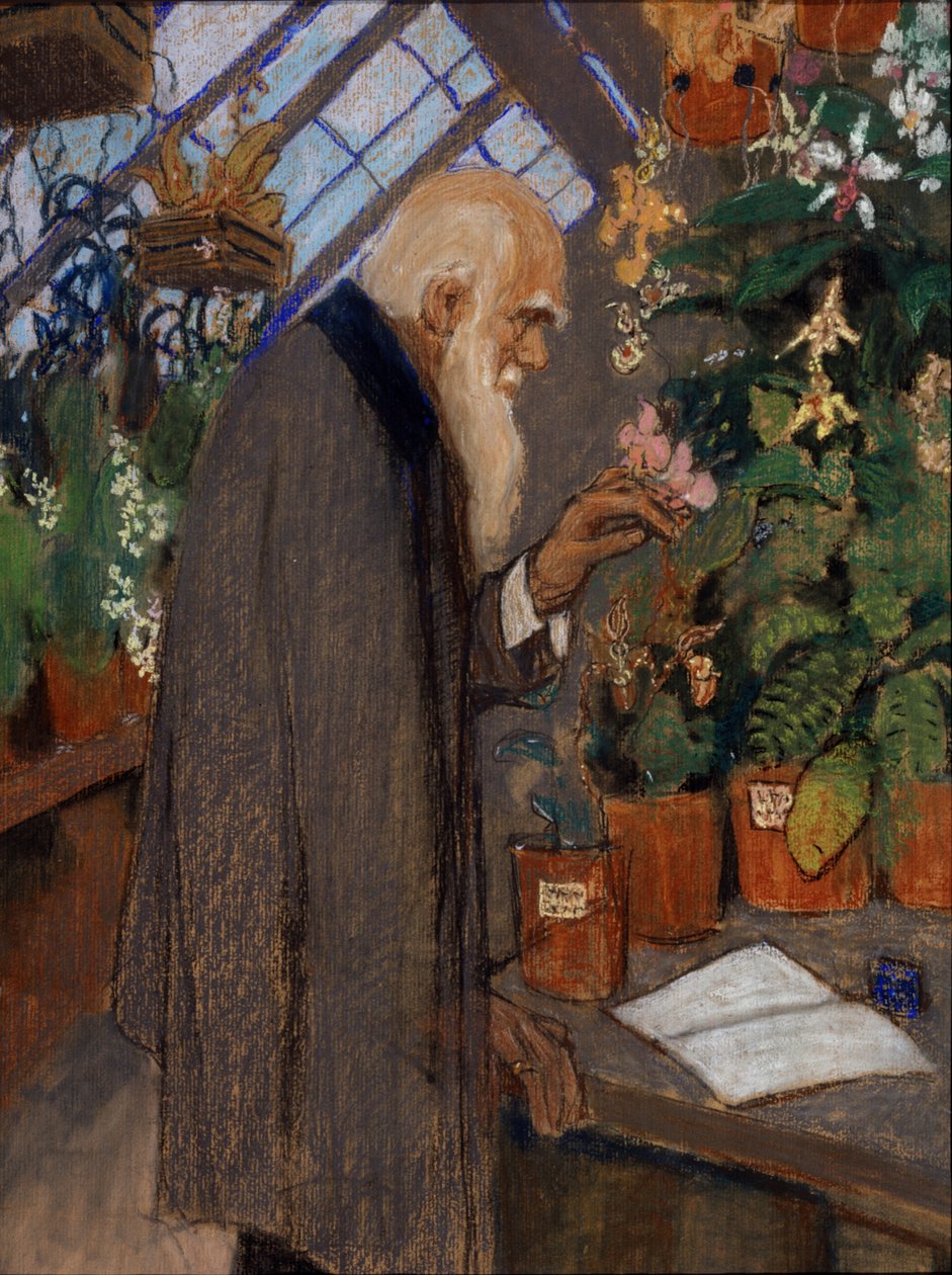 Porträt des Wissenschaftlers Charles Darwin, der Pflanzen im Gewächshaus untersucht von Mikhail Dmitrievich Ezuchevsky