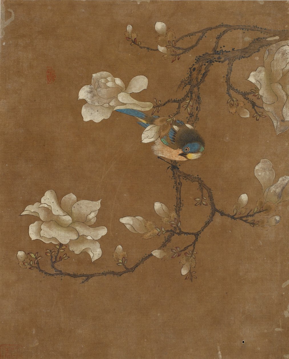 Zehn Bilder von Vögeln und Blumen von Ming Dynasty Chinese School