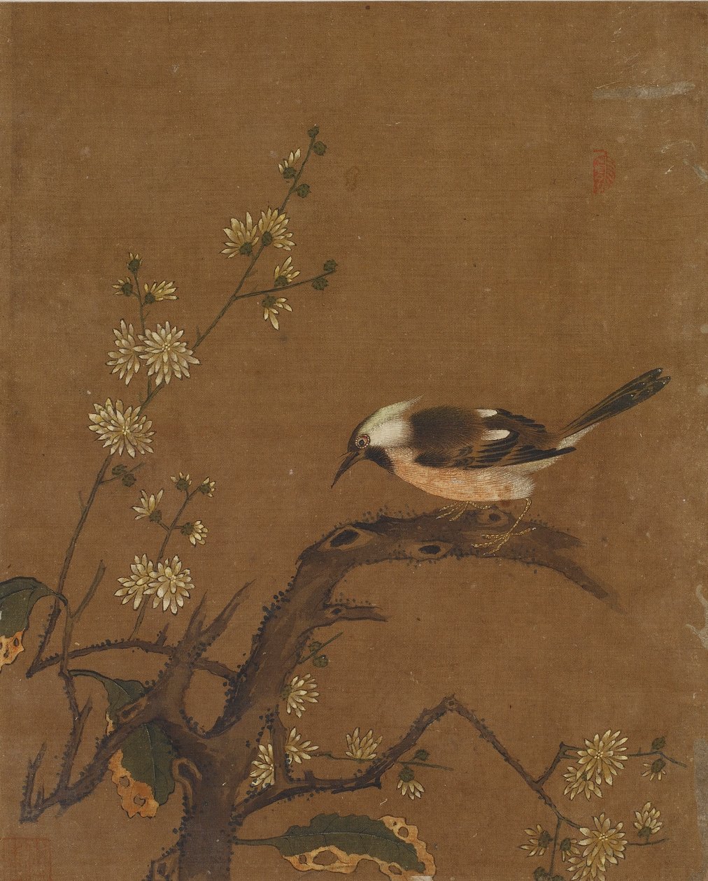 Zehn Bilder von Vögeln und Blumen von Ming Dynasty Chinese School