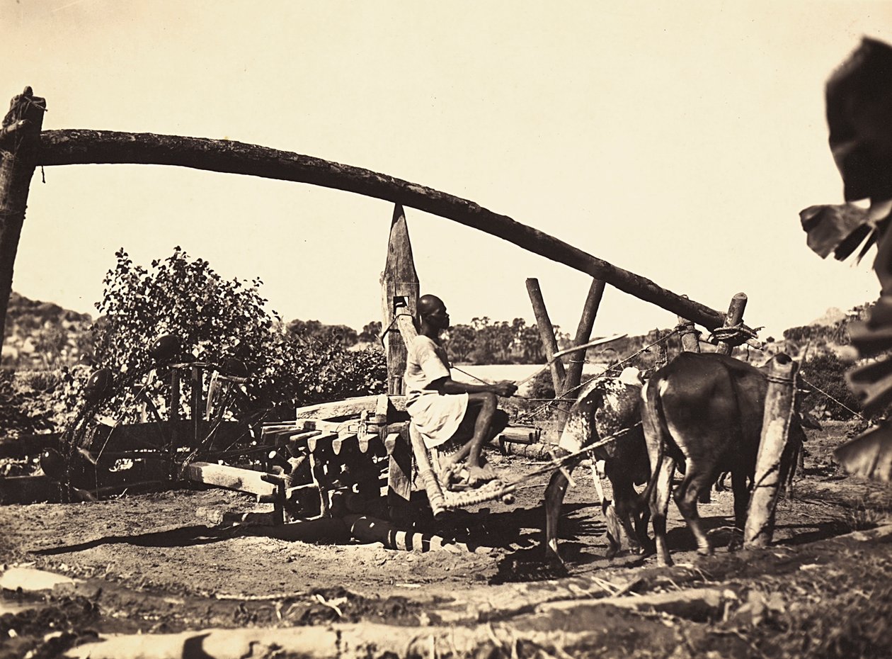 Bau eines Imperiums im faschistischen Zeitalter: indigene Noria, 09/05/1936 von Modestino Baldinetti