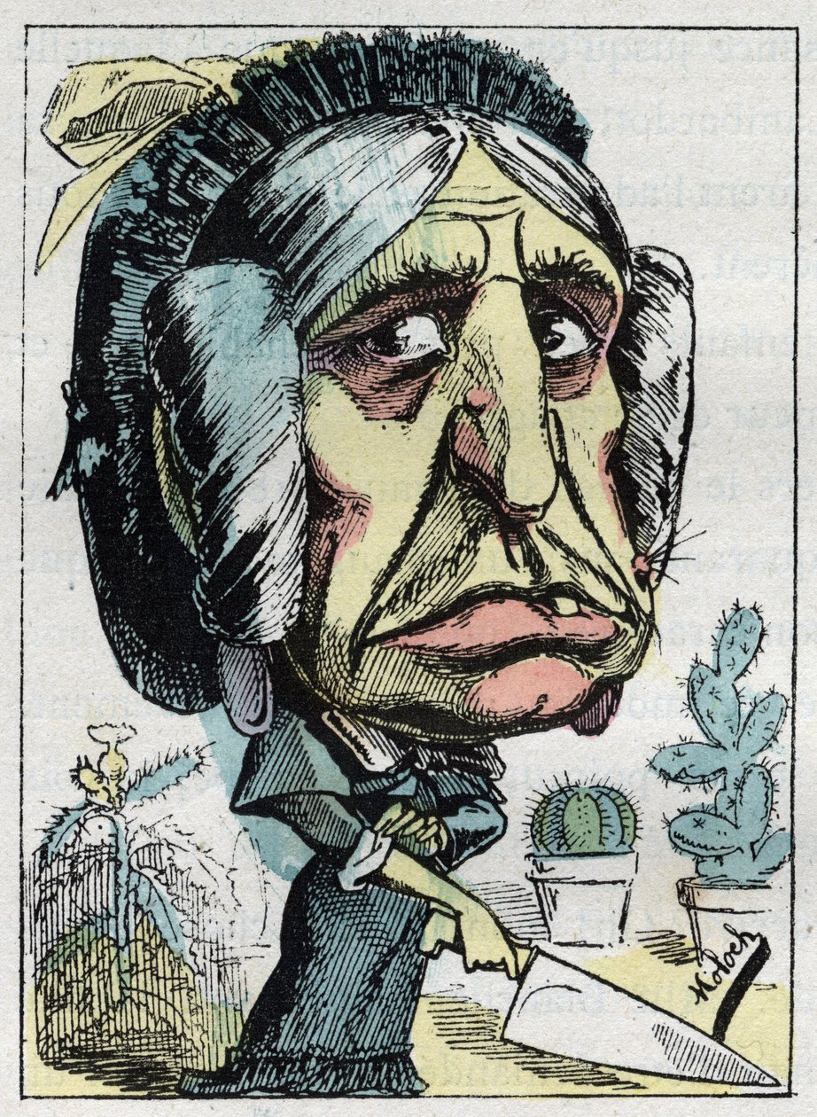 Allegorie der „Stiefmutter“ (Belle mère) in „Le Trombinoscope“ von Touchatout, Karikatur von B. Moloch von 1882 (1849-1909). Private Sammlung von Moloch