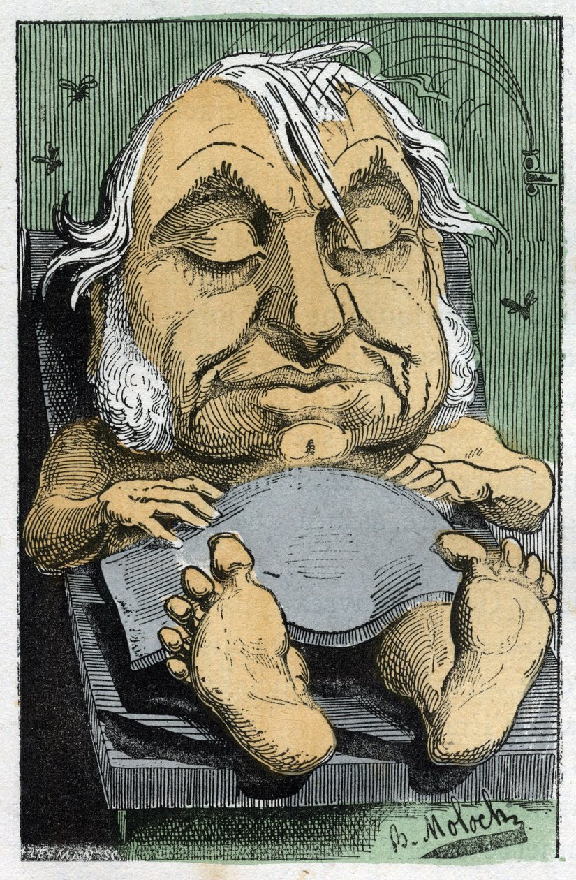 Porträt von Eugène Rouher (1814-1884), französischer Politiker von Moloch