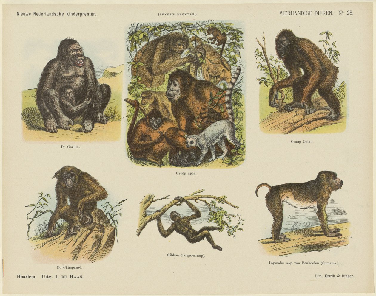 Vierhändige Tiere (Titel auf Objekt)
Neue Niederländische Kinderbilder (Serientitel auf Objekt)
Funke