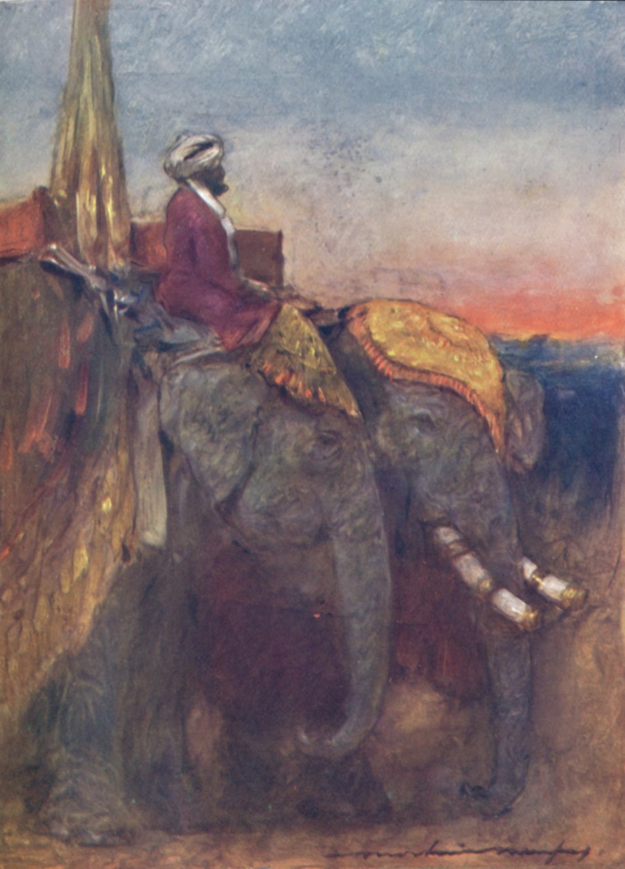 Jaipur-Elefanten von Mortimer L Menpes