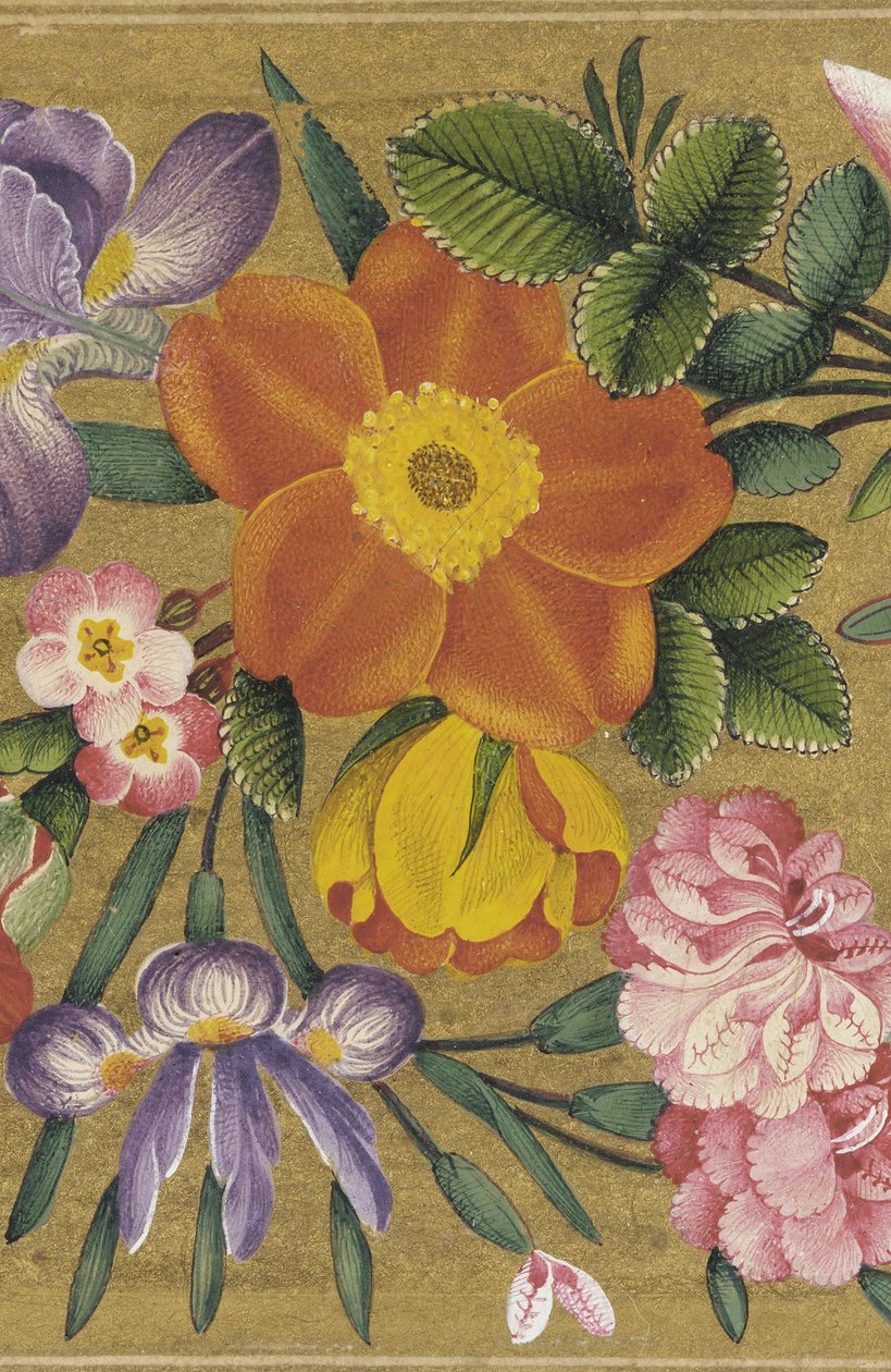 Seite aus dem St. Petersburg Album, Indien, 1727 (Farbe auf Goldgrund) von Muhammad Sadiq