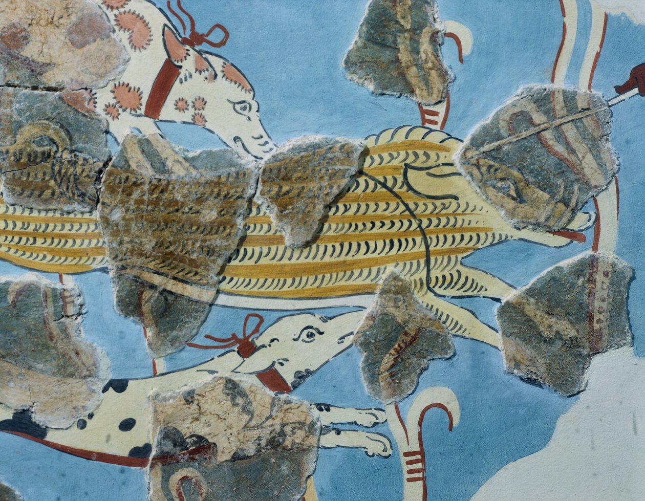 Fresko aus dem Palast von Tirinto (Griechenland). Detail: Gruppe von Hunden, die ein Wildschwein angreifen. Mykenische Zivilisation von Mycenean
