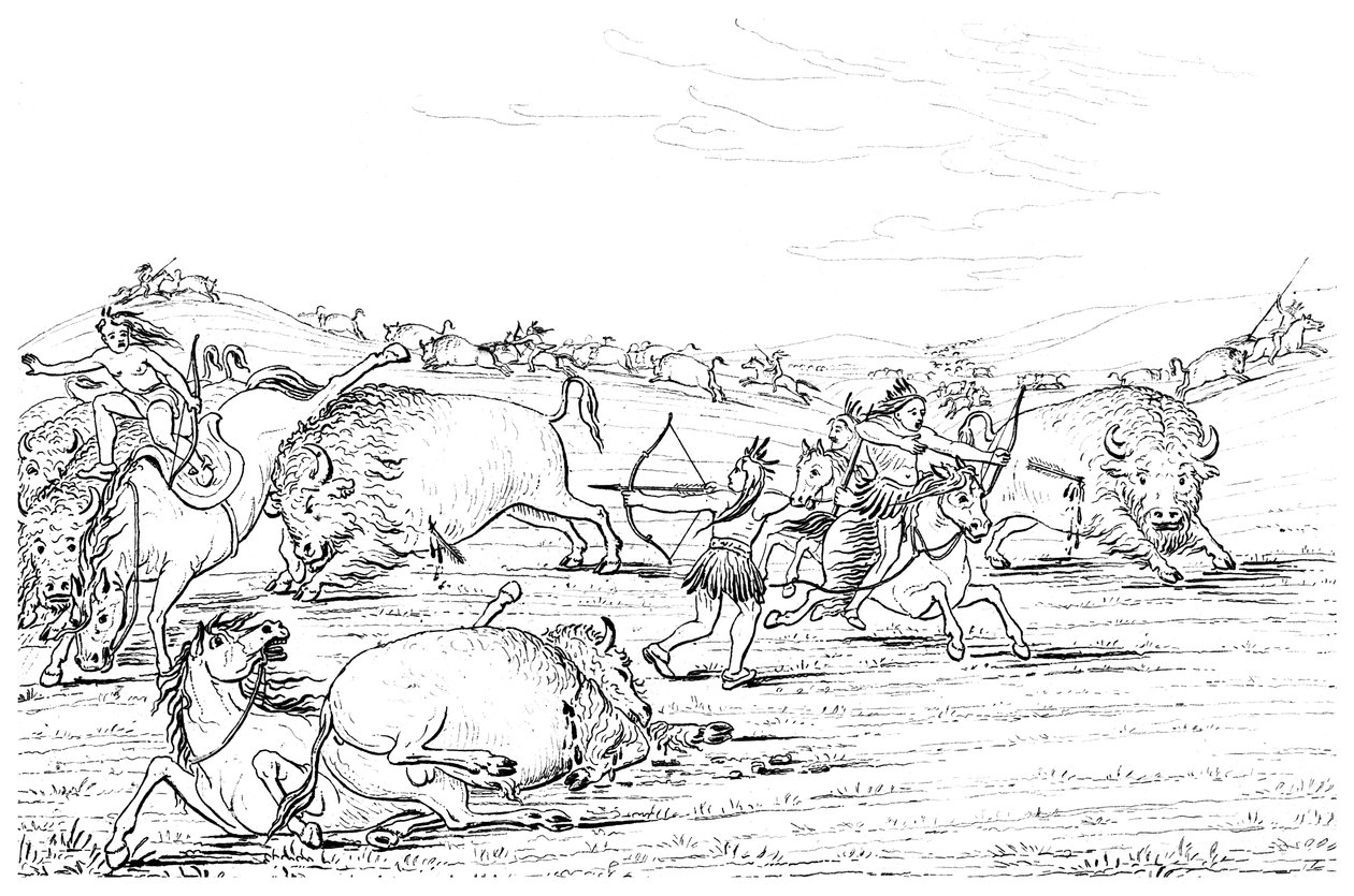 Indianer jagen Büffel, 1841 von Myers and Co