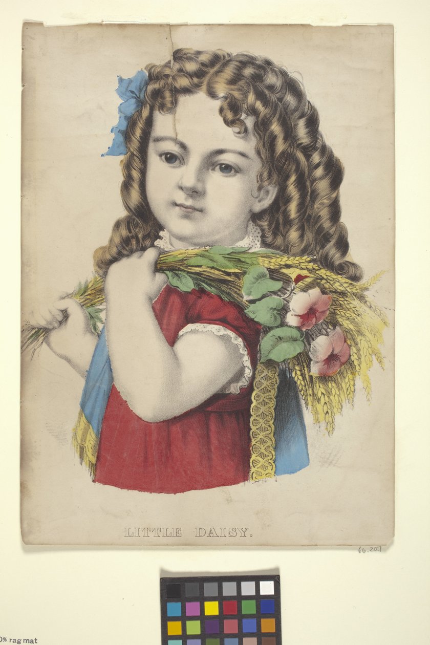 Kleine Daisy von N. and Ives J.M. (1824 95) Currier