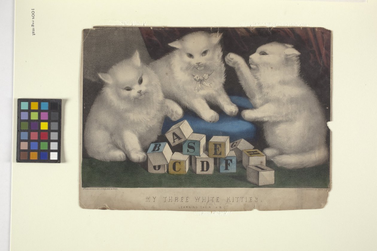 Meine drei weißen Kätzchen von N. and Ives J.M. (1824-95) Currier