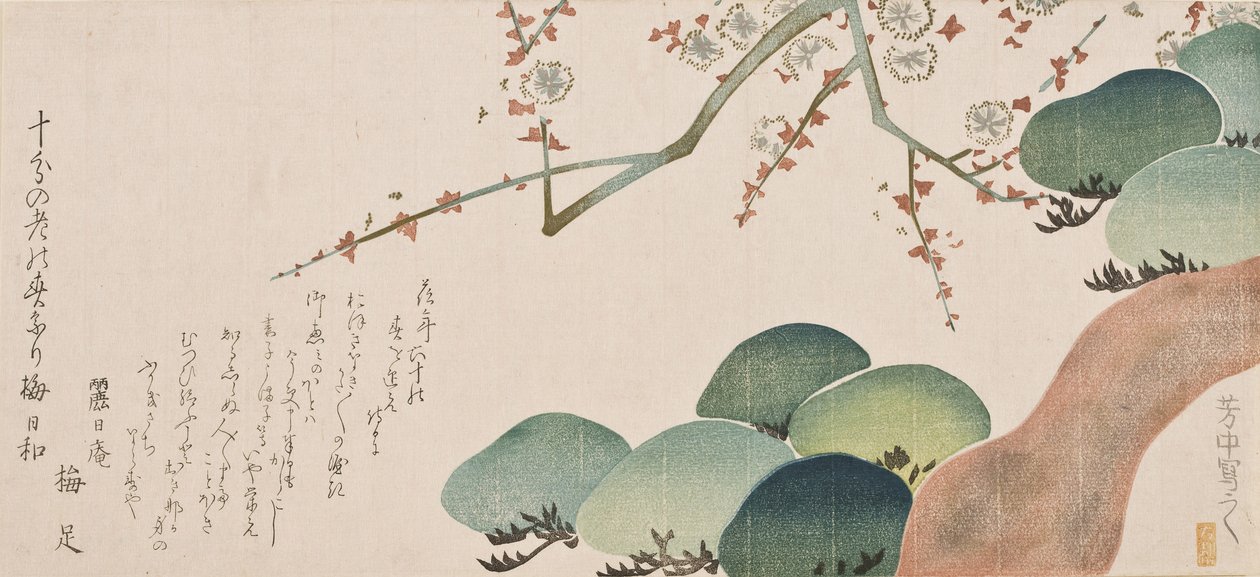 Kiefer und Pflaumenblüte, 1810-30 von Nakamura Hochu
