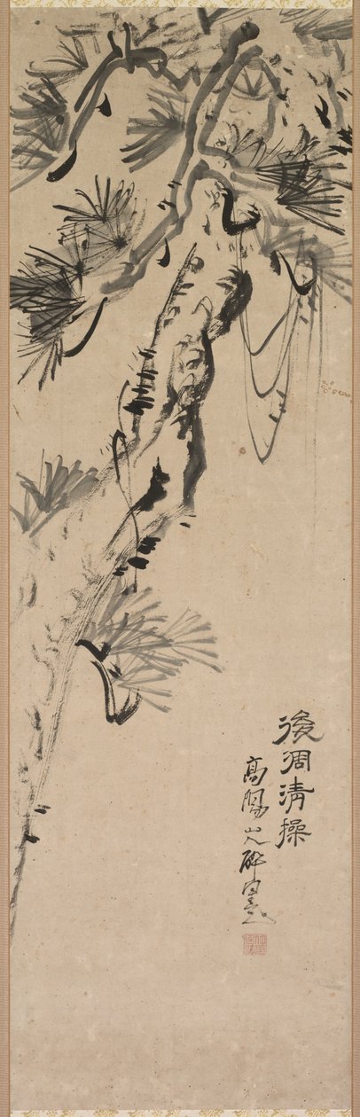 Gealterte Kiefer, 1717-1780 von Nakayama Koyo