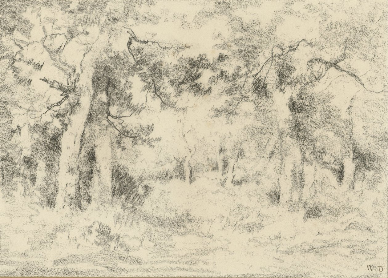 Waldansicht im Sommer von Narcisse Virgile Diaz de la Peña