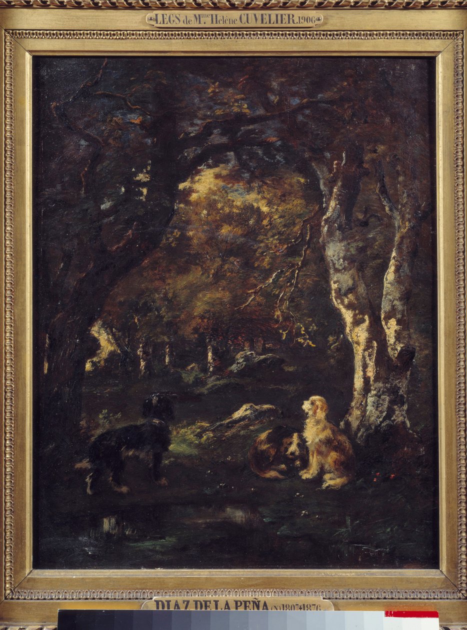 Hunde im Wald, Gemälde von Narcisse Diaz de la Peña von Narcisse Virgile Diaz de la Peña