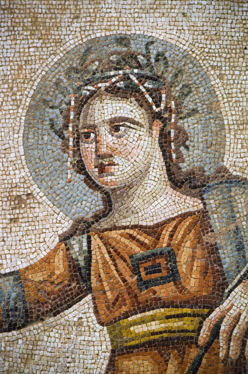 Römisches Mosaik in der Villa Haus des Aion von Nathan Benn