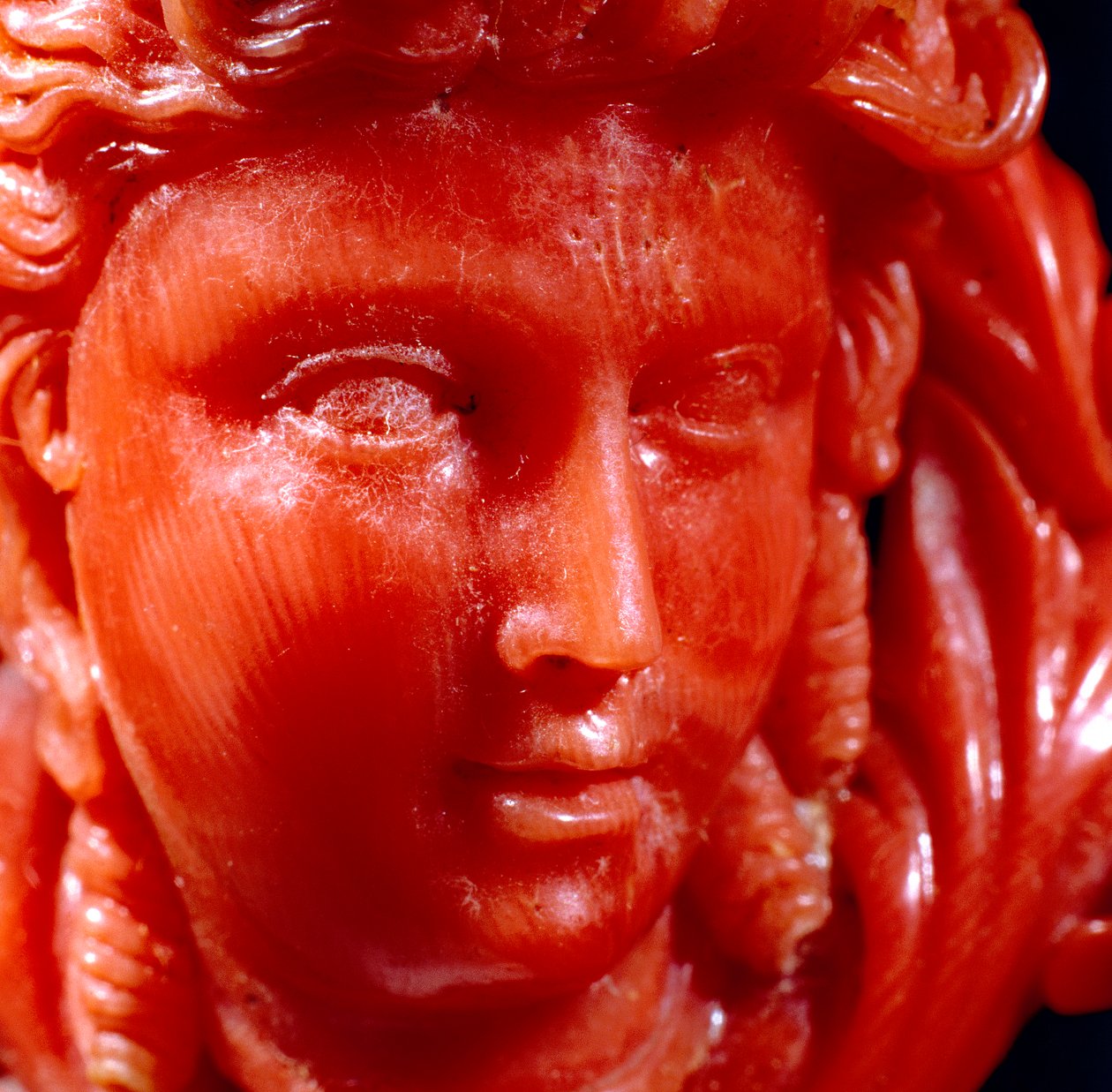 Anhänger eines klassischen Kopfes und Anaphora in mediterranem Korallen und Gold (Detail) von Neapolitan School