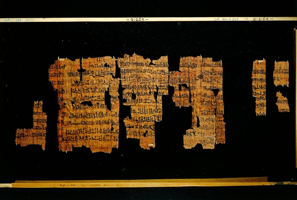 Fragmente des Dokuments mit den Taten des Pharaos Thutmosis III (Papyrus) von New Kingdom Egyptian