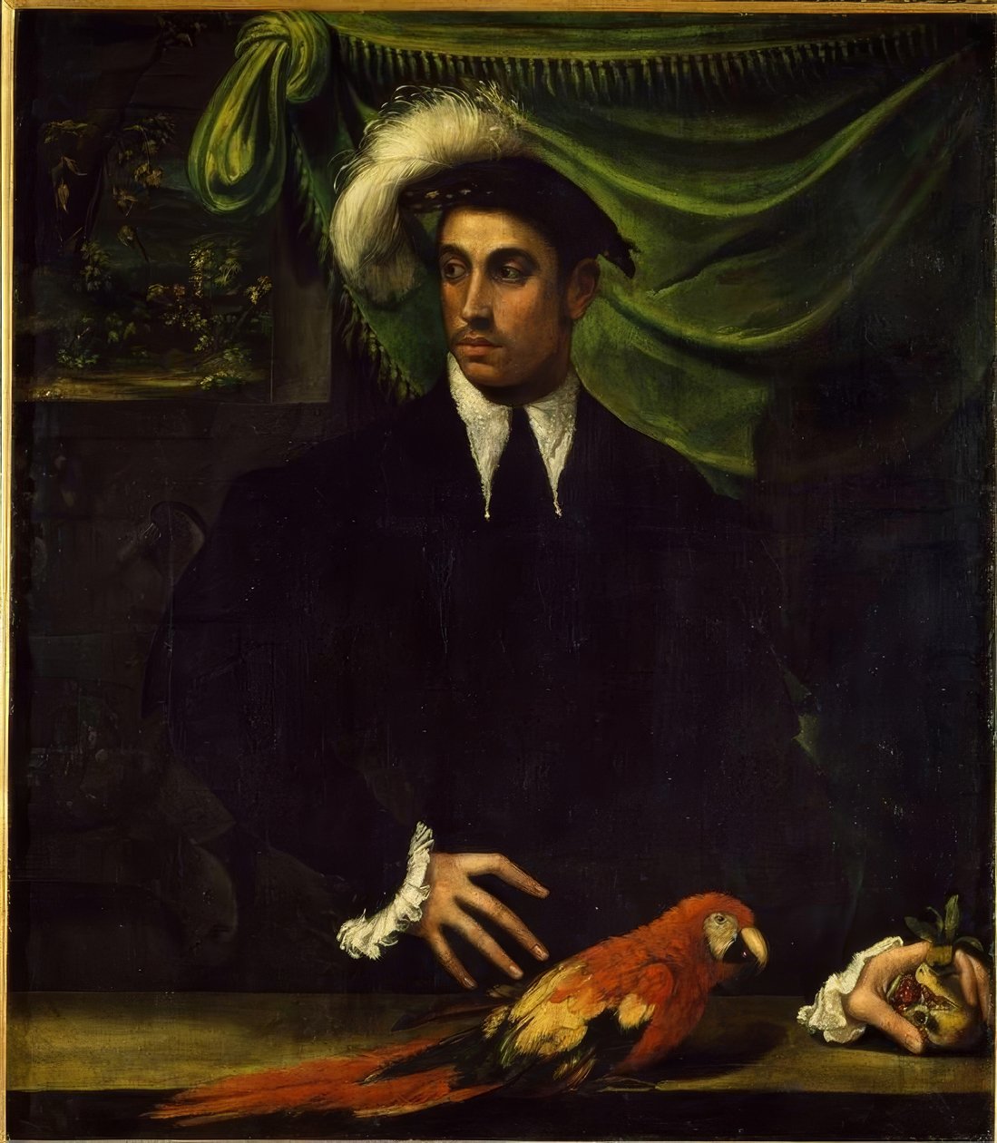 Bildnis eines jungen Mannes mit Papagei von Niccolò dell Abbate