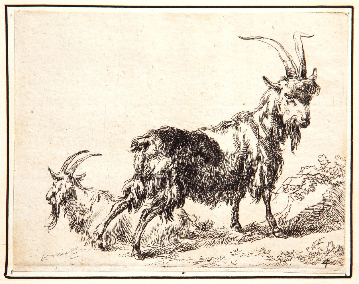 Ziegen von Nicolaes Pietersz. Berchem