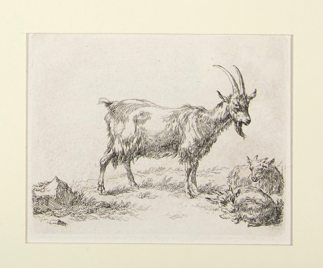 6 Radierungen aus von Nicolaes Berchem