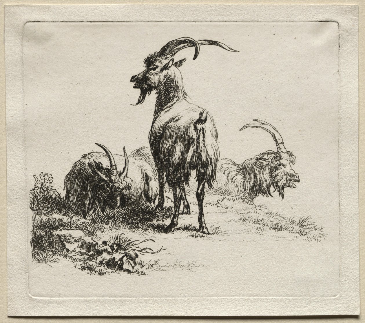Drei Ziegen von Nicolaes Pietersz. Berchem
