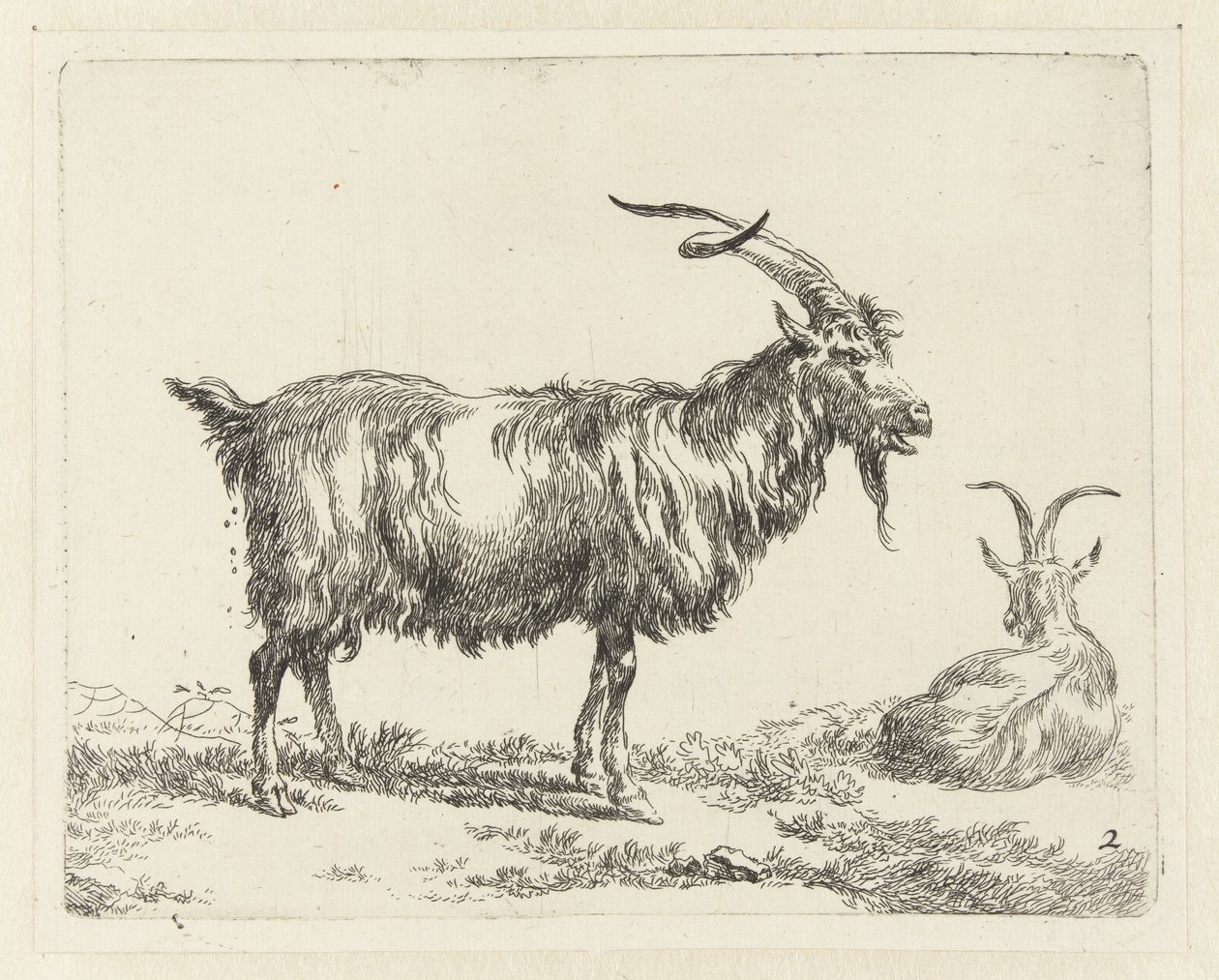 Zwei Ziegen von Nicolaes Pietersz Berchem