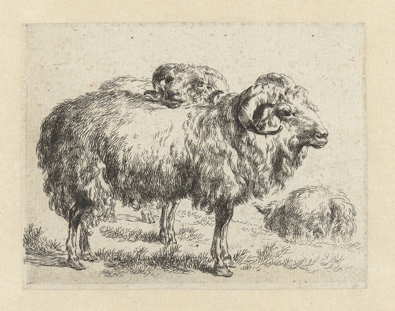 Zwei Widder und ein Schaf von Nicolaes Pietersz Berchem