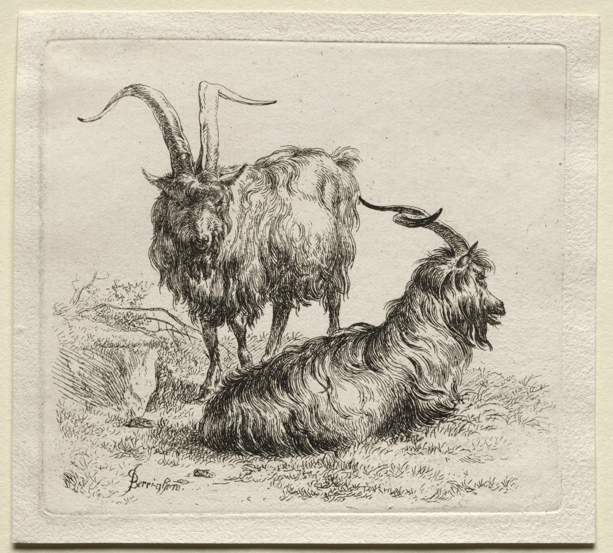 Zwei Ziegen von Nicolaes Pietersz. Berchem