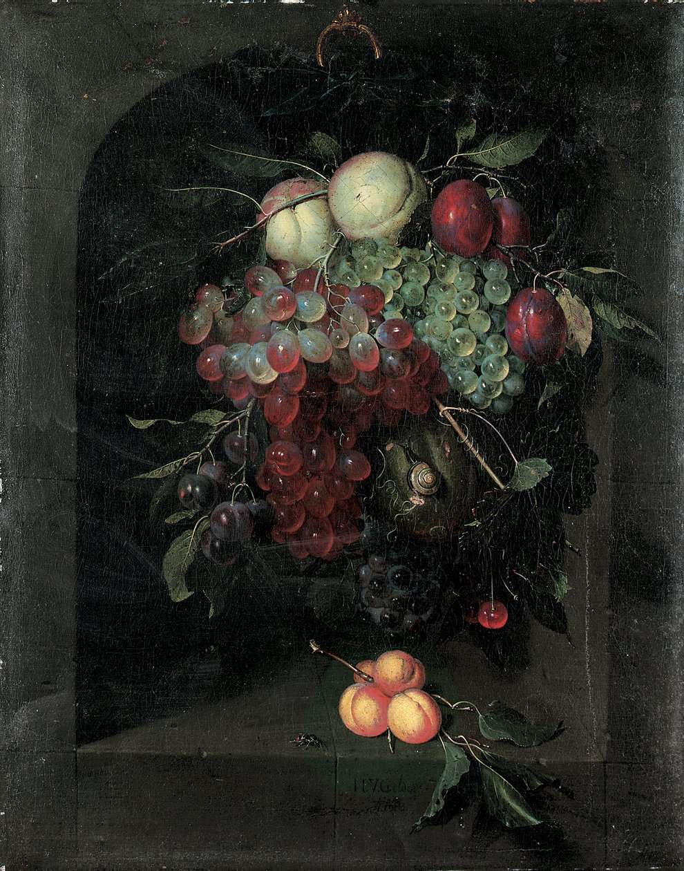 Girlande aus Trauben, Pfirsichen, Pflaumen und Kirschen mit einer Schnecke in einer Steinnische mit einem Bündel Aprikosen und einer Biene auf einem Sims, 1666 von Nicolaes Van Gelder