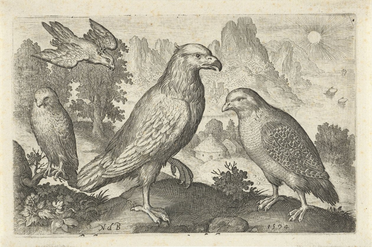 Adler und andere Raubvögel von Nicolaes de Bruyn