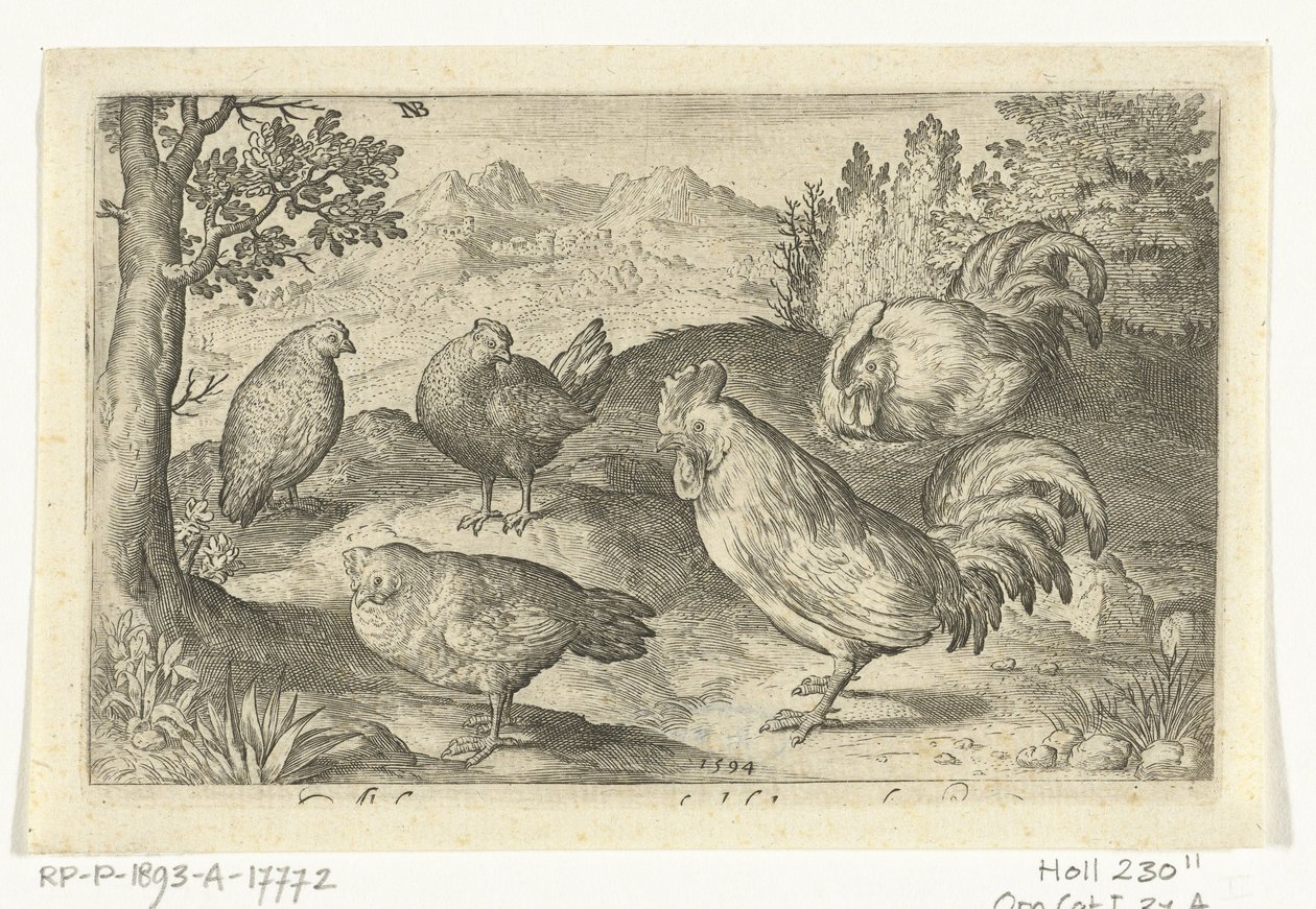 Drei Hühner und zwei Hähne (Vögel und Insekten) von Nicolaes de Bruyn