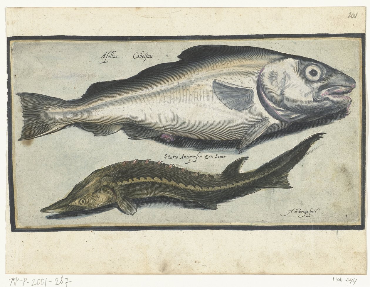 Kabeljau und Stör von Nicolaes de Bruyn