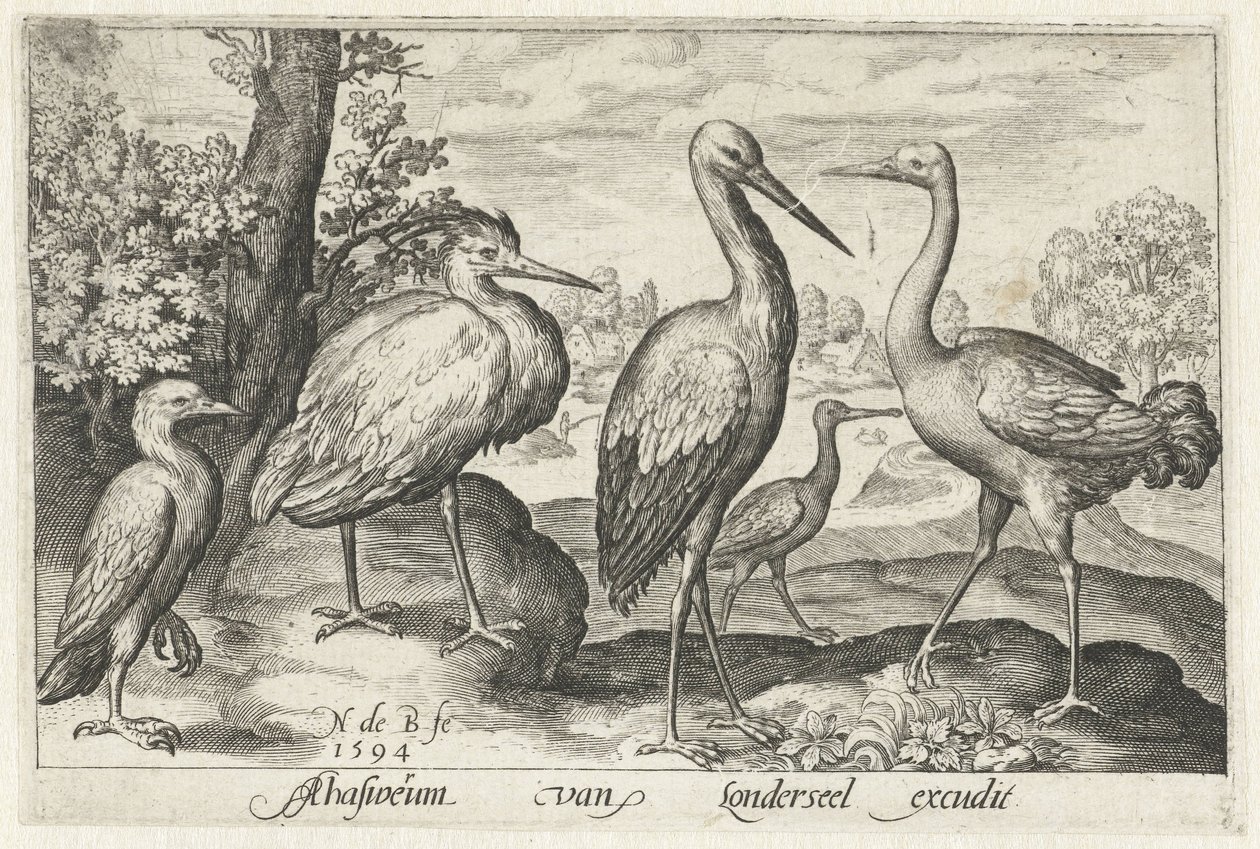 Storch, Kranich, Reiher und Löffler von Nicolaes de Bruyn