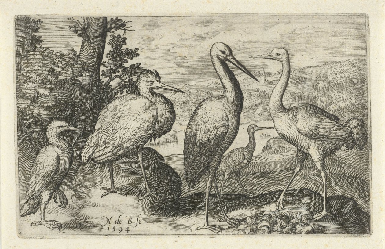 Storch, Kranich, Reiher und Löffler von Nicolaes de Bruyn
