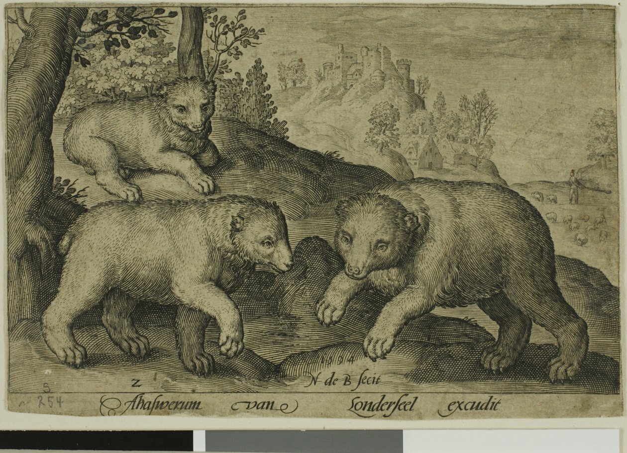 Drei Bären, Platte zehn aus Vierbeinige Tiere von Nicolaes de Bruyn