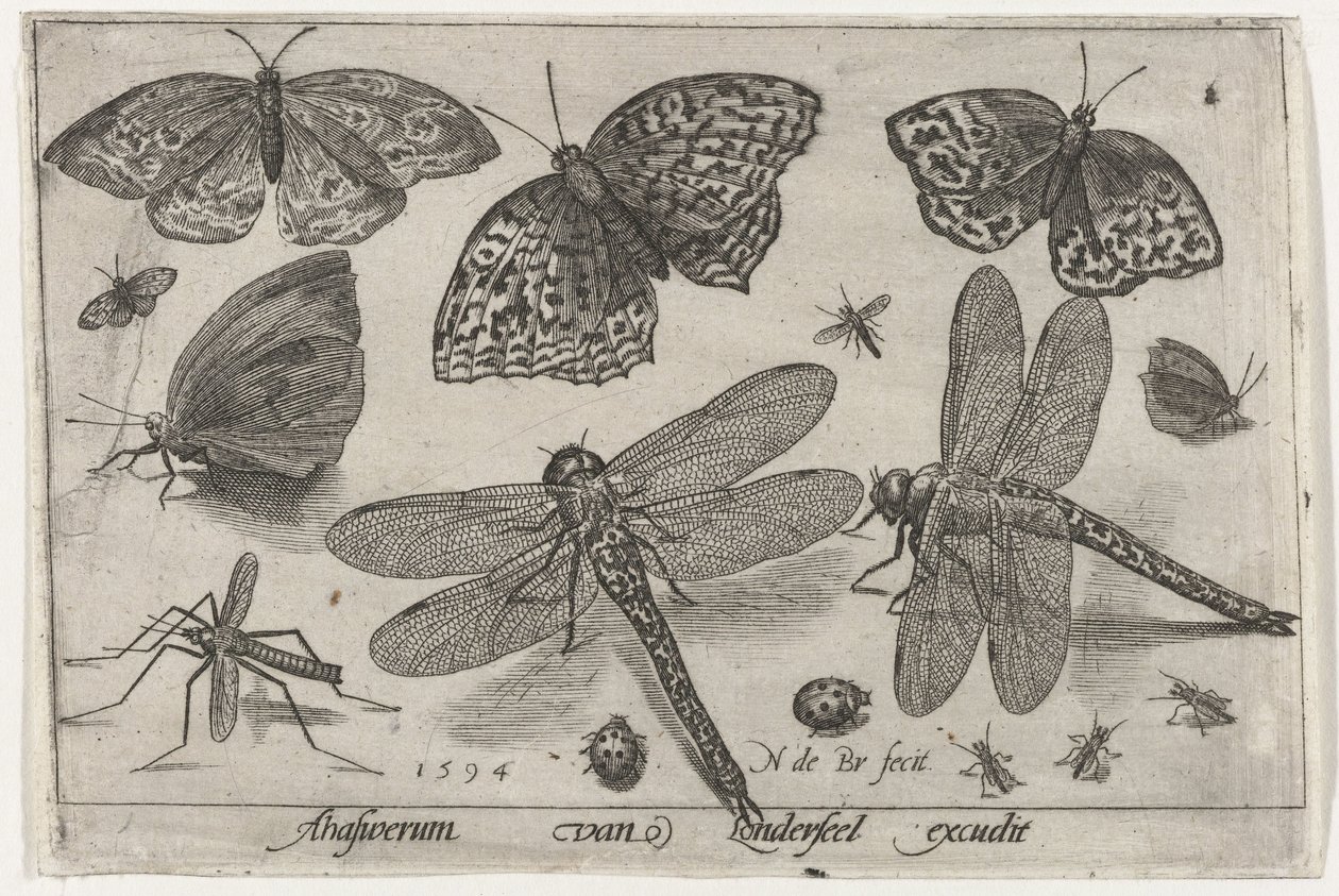 Schmetterlinge und Libellen von Nicolaes de Bruyn