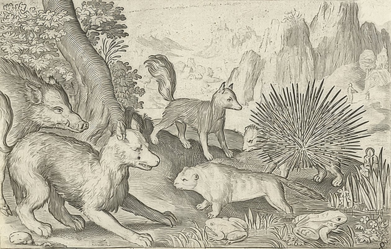 Wildschwein, Füchse, Biber, Stachelschwein und Frösche von Nicolaes de Bruyn
