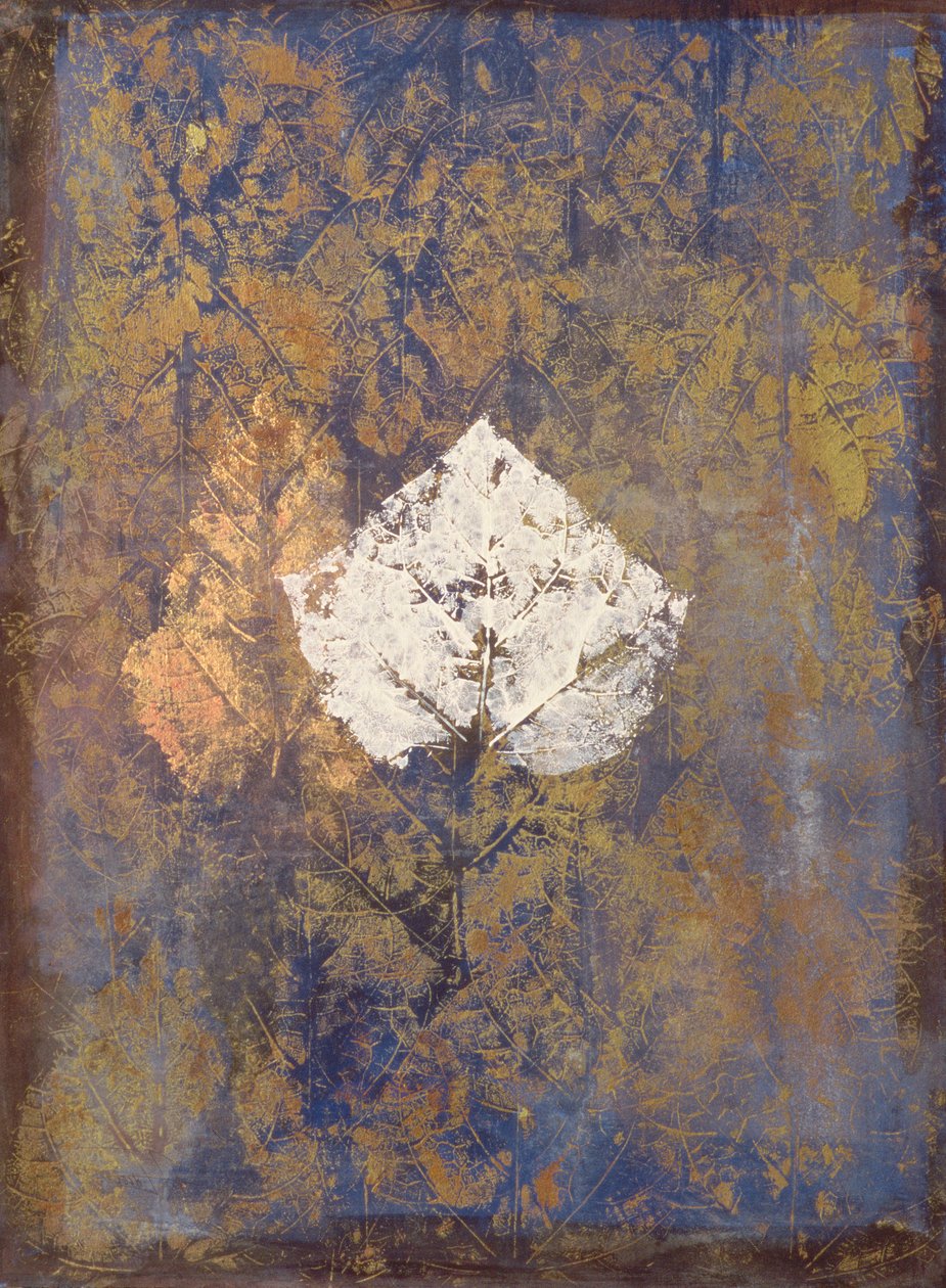 Borromeo von Nissan Engel