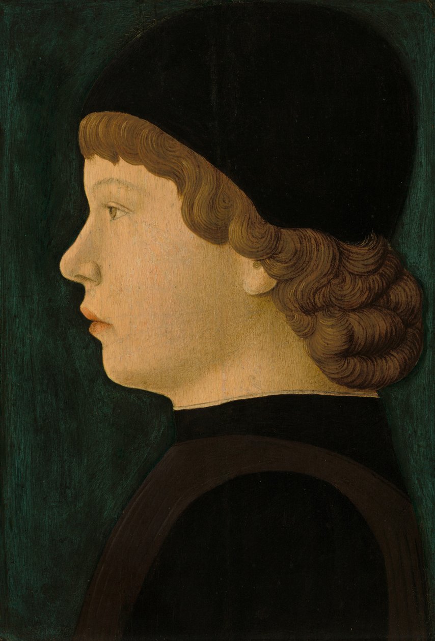 Profilporträt eines Jungen von North Italian 15th Century