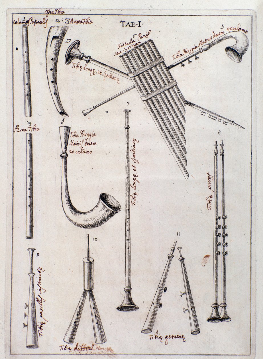 Blasinstrumente Seite aus „de Tribus Generibus Instrumentorum Musicae Veterum“ Werk über alte Instrumente von Francesco Bianchini von Northern Italian School