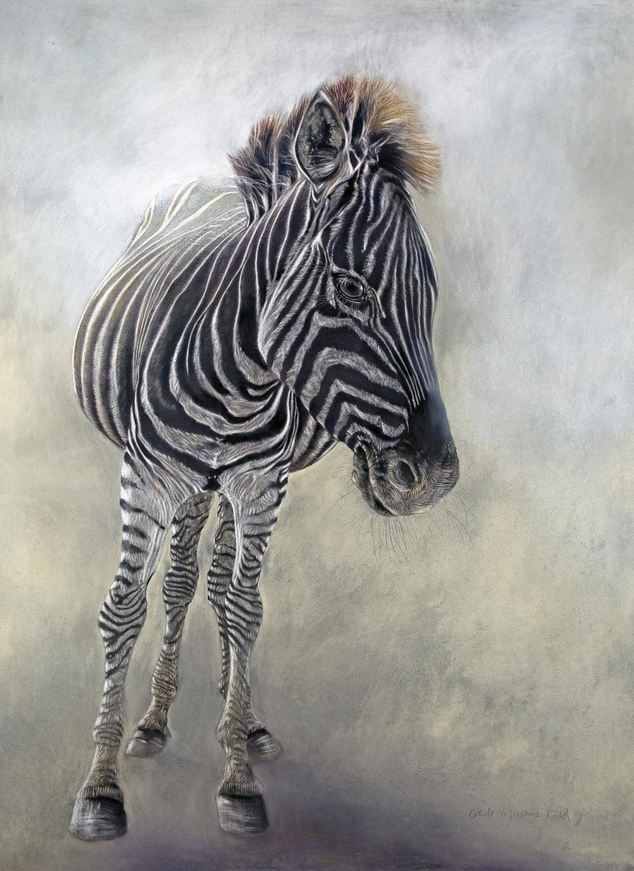 Equus burchelli 1, 2009 von Odile Kidd