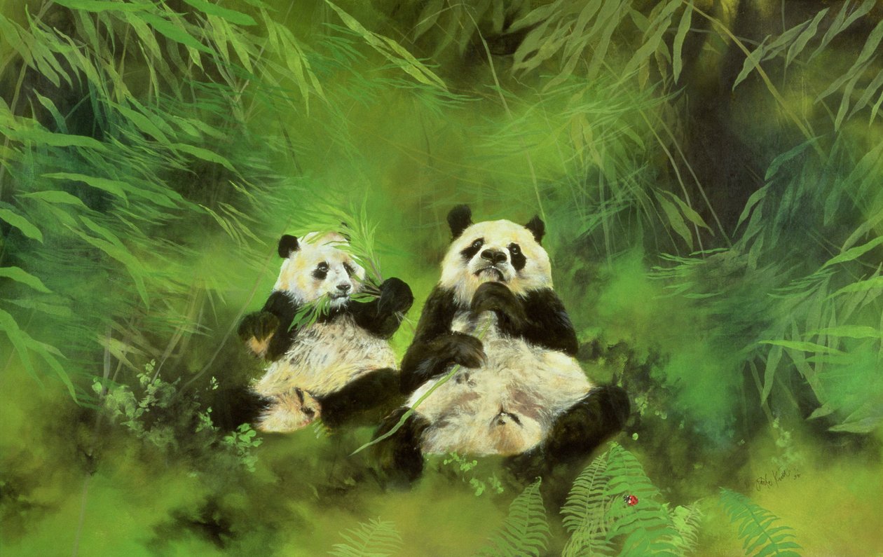 Pandas von Odile Kidd